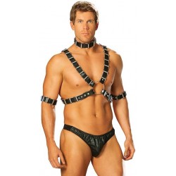 Mens Adjustable 4 Piece Leather Harness